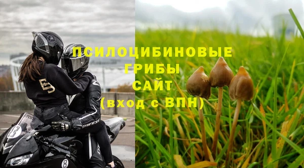 а пвп мука Костерёво