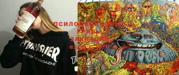 меф Корсаков